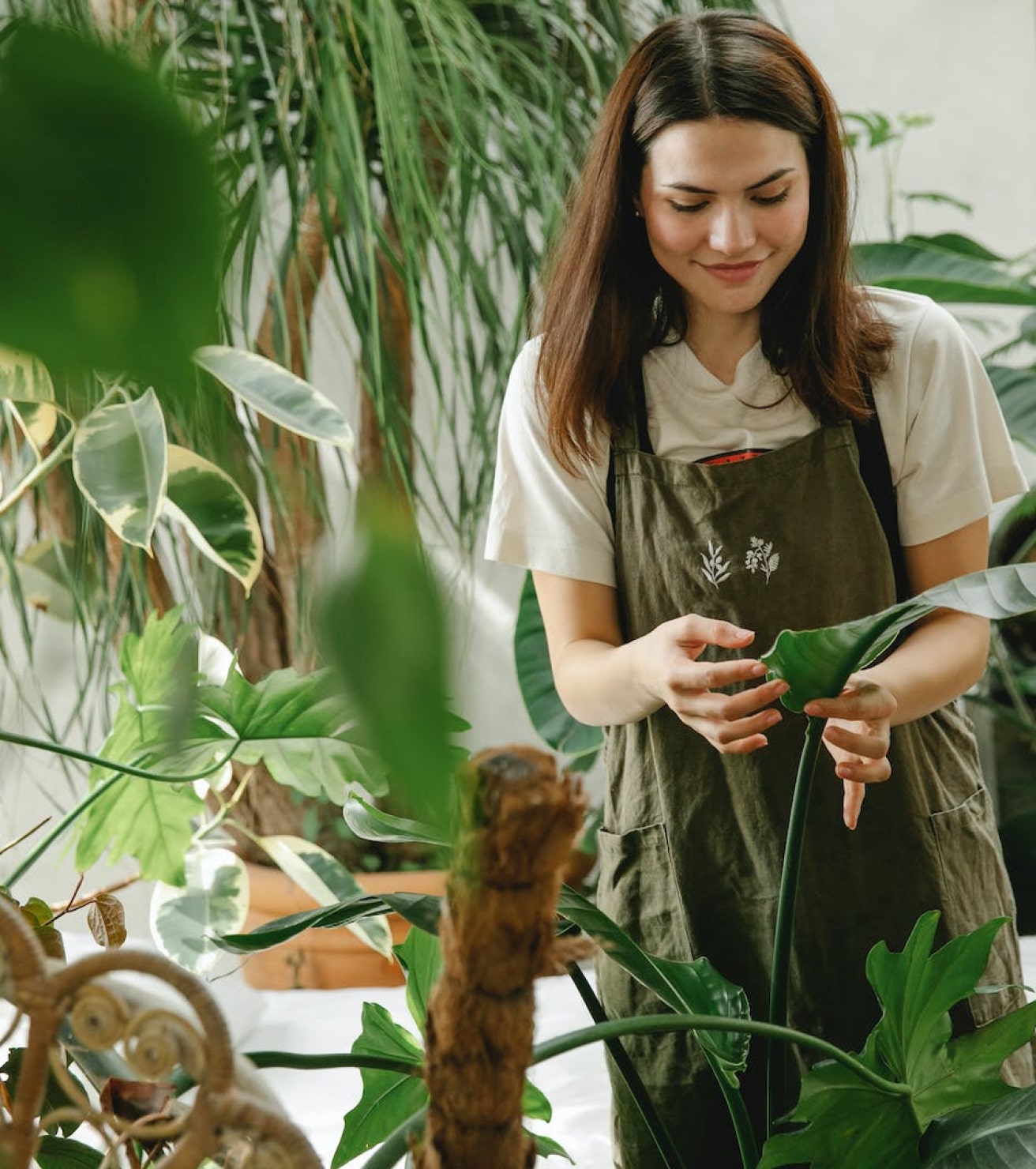 w-ps-about-us-gallery-3-opt